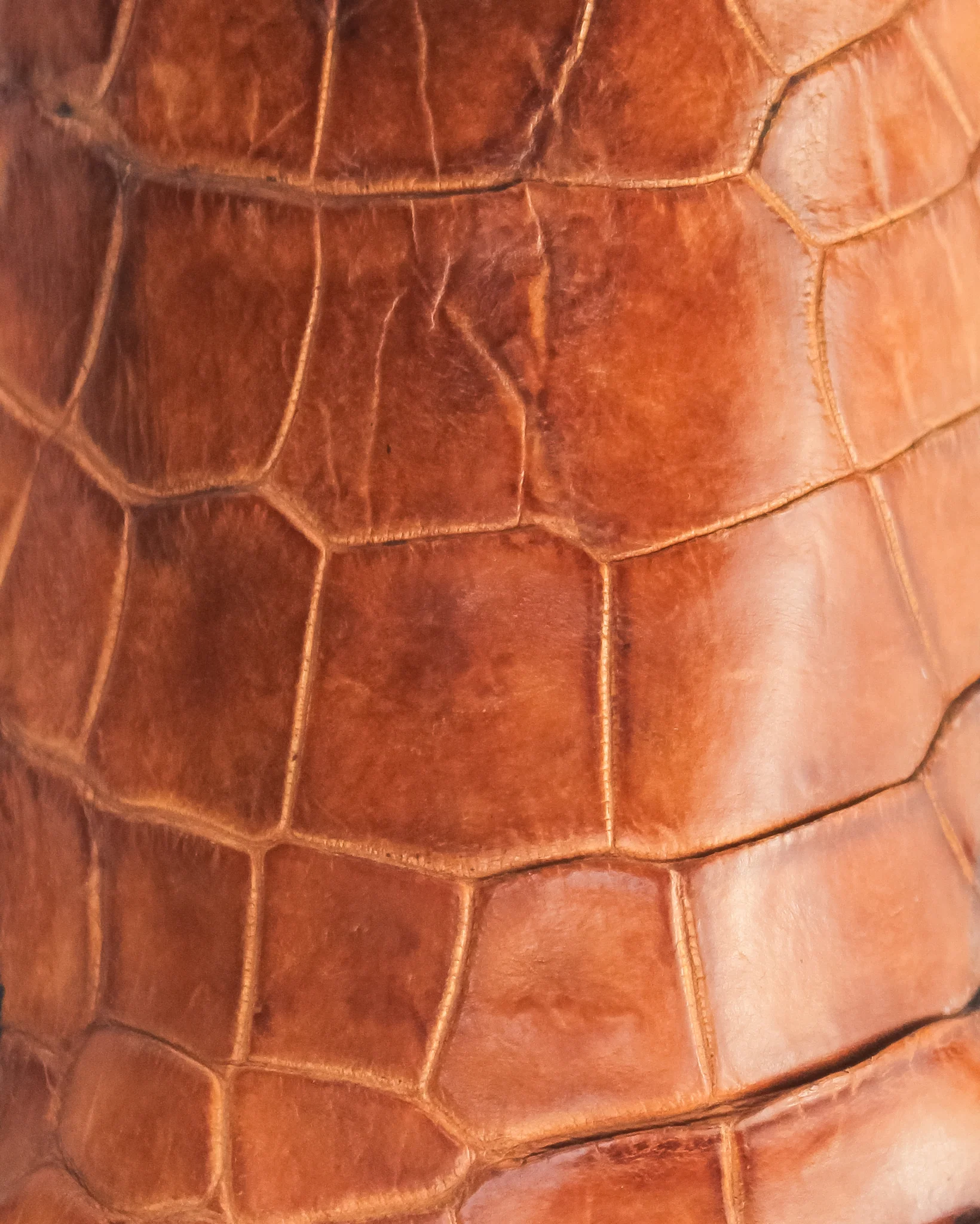 Alligator Knife & Holster - Cognac - Image 5