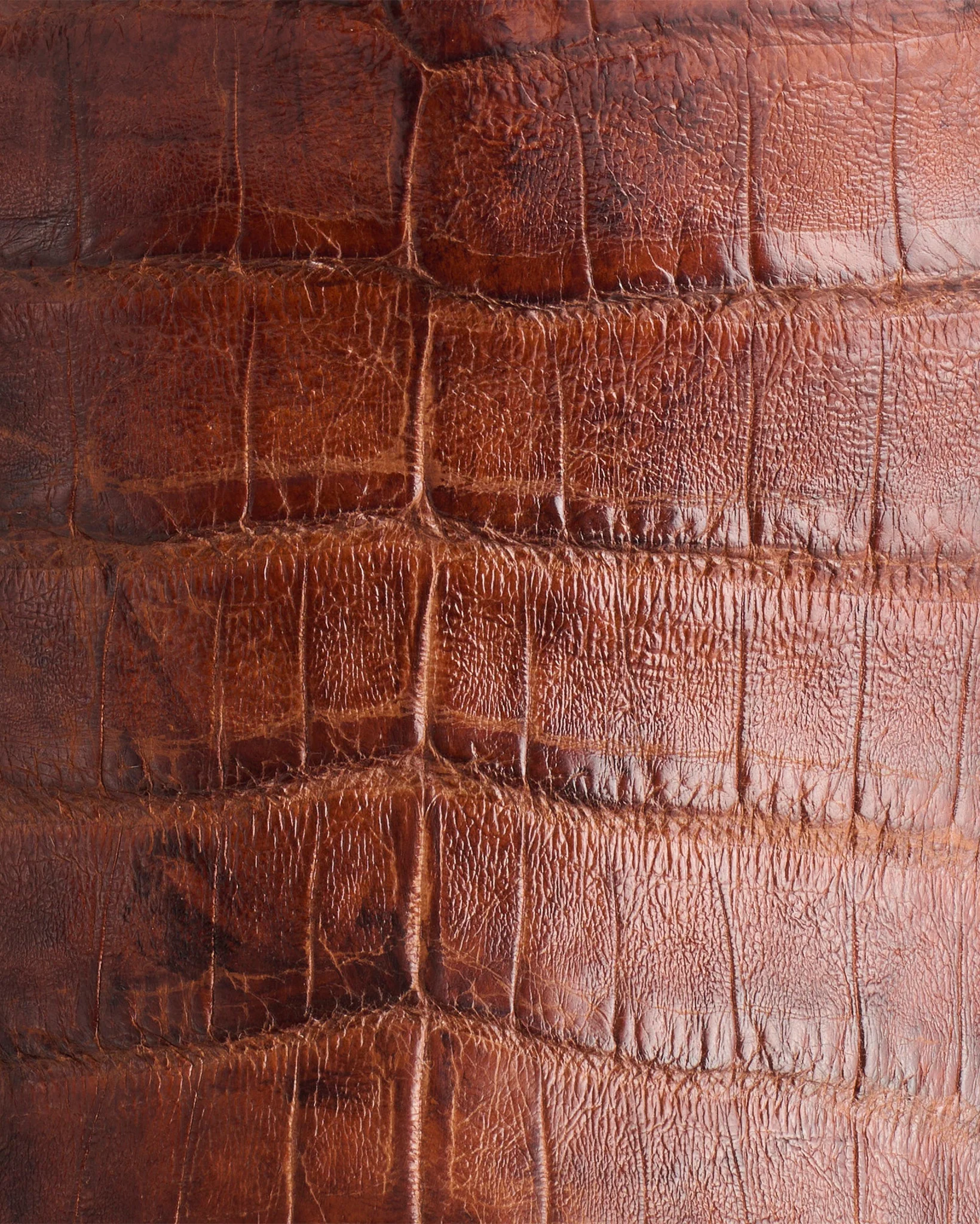 Men's Charles Caiman Crocodile Belly Boots - Image 8