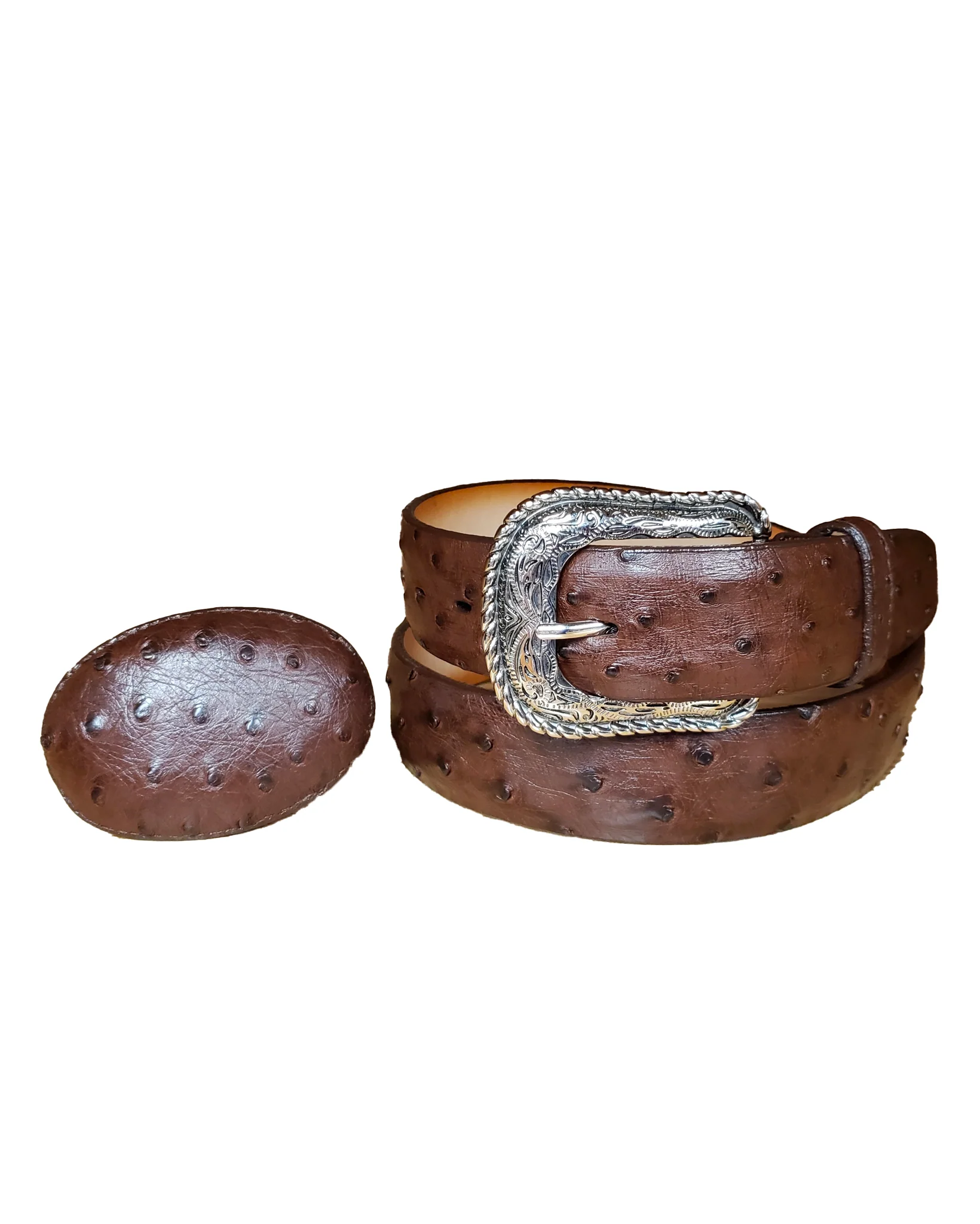 Ostrich Belt - Image 2
